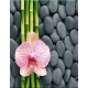Штора для ванной полиэстр ткань 180х180 Фотопринт Z-002 цветок