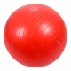 Мяч гимнастический 141-21-59 55 см