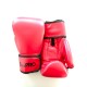 Перчатки боксерские BoxPro II EQ2530